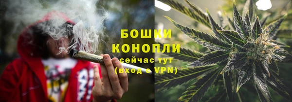 сатива Бронницы