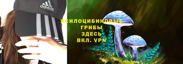 прущая мука Бородино