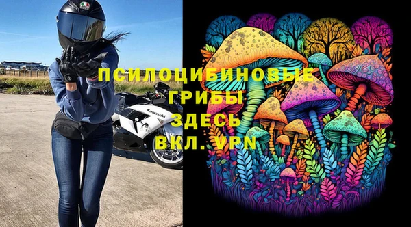 прущая мука Бородино