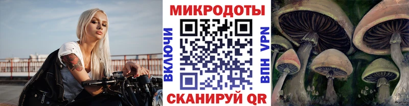 Галлюциногенные грибы MAGIC MUSHROOMS купить Верхний Тагил